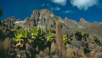 Mount Kenya in Africa